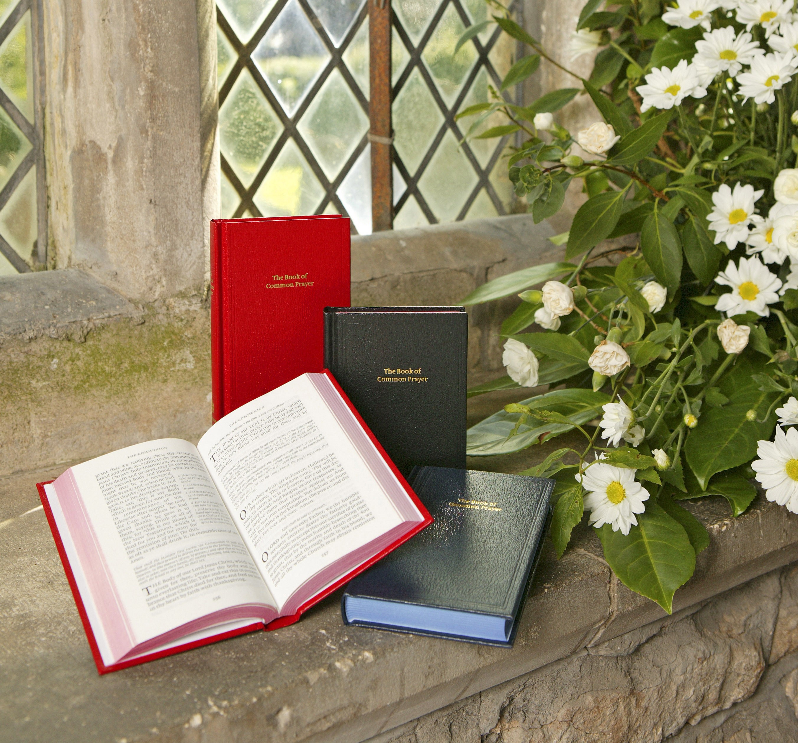 BCP Standard Edition | Cambridge University Press & Assessment